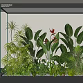 Indoor Landscape With Glass Container Holding Various Lush Green Tropical Plants And Red Flowers