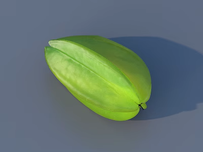 Carambola 3D Model 3d model
