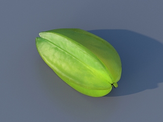 Carambola 3D Model 3d model