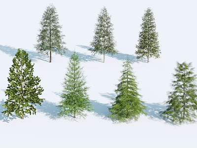 Seven Trees with Green to Dark Green Foliage Straight Trunks Lush Branches Natural Fresh Look 3d model