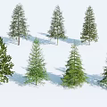 Seven Trees with Green to Dark Green Foliage Straight Trunks Lush Branches Natural Fresh Look