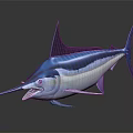 Striking Blue Swordfish With Open Mouth White Underbelly And Shiny Body On Dark Background