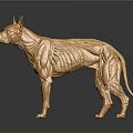 Golden Dog Sculpture Showcasing Anatomical Organ Structure And Hair Texture Features