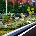 Colorful Roadside Flower Bed Featuring Various Flowers Plants Trees And Red Brick Buildings