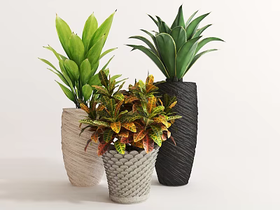 Indoor Potted Plants With Woven Pots And Varied Green Yellow Red Leaves 3d model