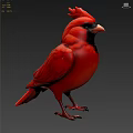 Vibrant Red Cardinal Bird with Black Facial Mask Orange Beak in Standing Pose