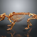 Golden Animal Skeleton in Standing Pose on Dark Background with Reflection