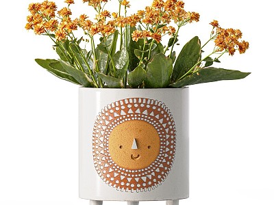 Sunshine Ceramic Tripod Flower Pot model