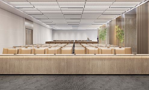 Modern Conference Hall Report Hall 3d model