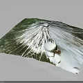 Volcanic Terrain With Conical Shape Green Vegetation And White Snow Cover