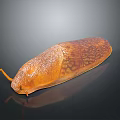 Orange Slug With Textured Body On Black Surface And Visible Reflection