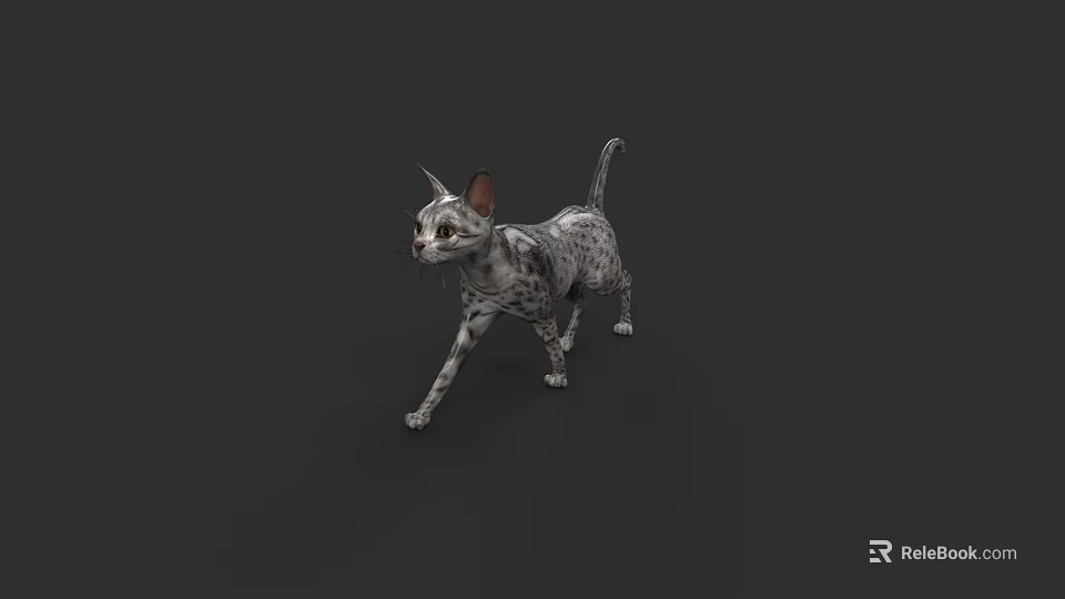 Realistic Spotted Gray And White Cat Walking On Dark Background 3d model 