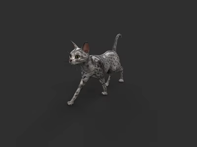 Realistic Spotted Gray And White Cat Walking On Dark Background 3d model
