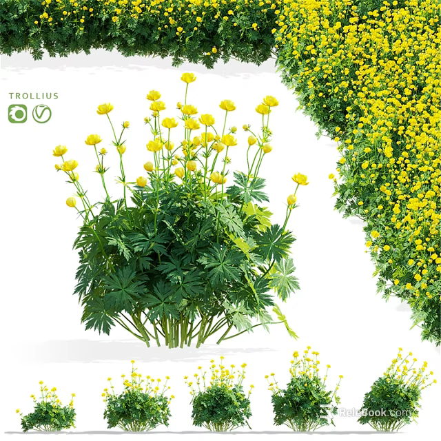 Decorative Ornament Set With Yellow Flowers And Green Leafy Plants 3d model 