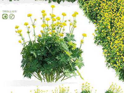 Decorative Ornament Set With Yellow Flowers And Green Leafy Plants 3d model