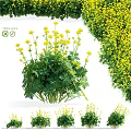 Decorative Ornament Set With Yellow Flowers And Green Leafy Plants