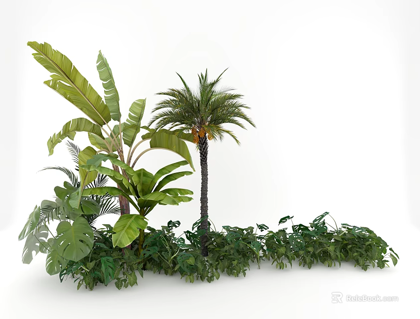 Lush Tropical Plant Combination With Large Leaves Palm Tree And Low-Growing Foliage 3d model 