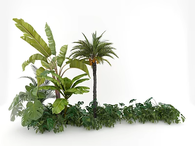 Lush Tropical Plant Combination With Large Leaves Palm Tree And Low-Growing Foliage 3d model