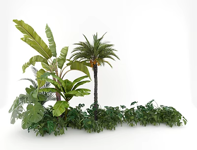 Lush Tropical Plant Combination With Large Leaves Palm Tree And Low-Growing Foliage 3d model