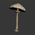 Brown Spotted Mushroom With Slender Stem And Root Like Base Structure
