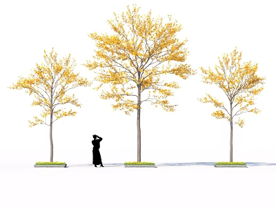 Three Trees With Yellow Leaves And Person Standing Beneath In White Background 3d model