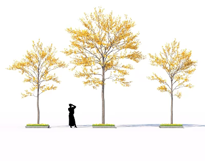 Three Trees With Yellow Leaves And Person Standing Beneath In White Background 3d model