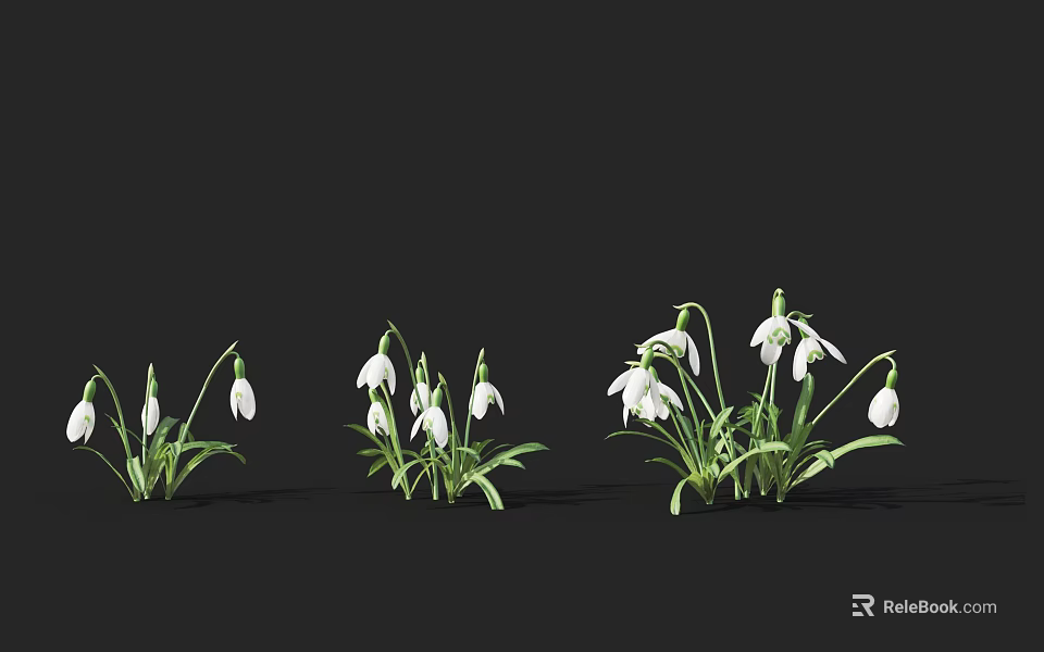 White Snowdrops With Green Stems And Leaves In Clusters On Black Background 3d model 