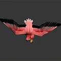 Pink Flamingo Spreading Black Wings as a Flying Bird with Graceful Posture