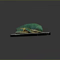 Green Reptile Lizard Resting On Colorful Decorative Plate With Dark Background
