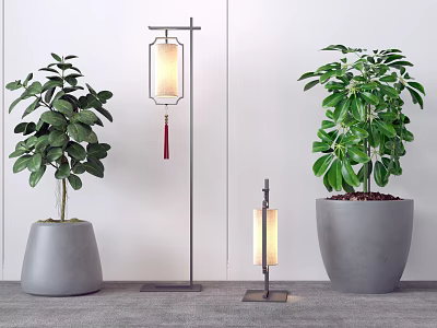 Two Floor Lamps Of Traditional And Modern Styles With Potted Plants 3d model Two Floor Lamps Of Traditional And Modern Styles With Potted Plants 3d model