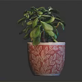 Potted Green Plant With Lush Leaves In Red Pot With White Patterns On Dark Table