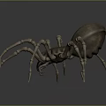 Realistic 3D Spider Model With Skeletal Legs And Brown Exoskeleton 3d model