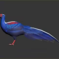 Colorful Flying Animal With Red Head Blue Body Feathers White Patches And Red Legs