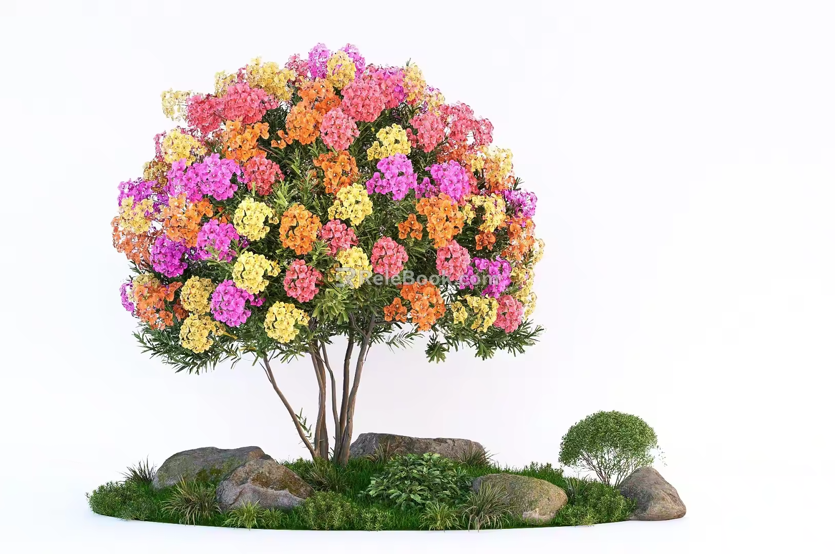 Courtyard landscape tree multicolor bougainvillea modeling tree stone cover trees 3d model