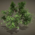 Cartoon Scene Featuring Two Trees With Green Leaves And Curved Trunks On Gray Background