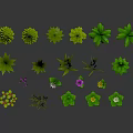 Collection of Various Plants Including Pine Trees Palm Trees Herbs And Aquatic Plants