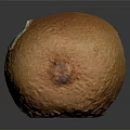 Fresh Ripe Kiwi Fruit With Fuzzy Brown Skin On Dark Background