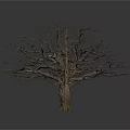 Three Trees In Different Sizes Featuring Two Leafless And One Green Pine Tree 3d model