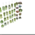 Different Varieties of Lush Hanging Basket Plants with Colorful Flowers and Green Foliage