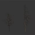 Two Leafless Trees Against White Background With Reflective Ground Surface
