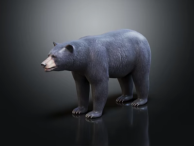 3D Rendered Gray Reptile Model On Black Reflective Background Surface 3d model