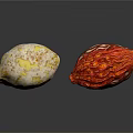 Colorful Mixed Nuts with Different Textures and Shapes on White Background