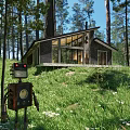Modern Detached House in Forest with Large Windows and Grassland Surroundings