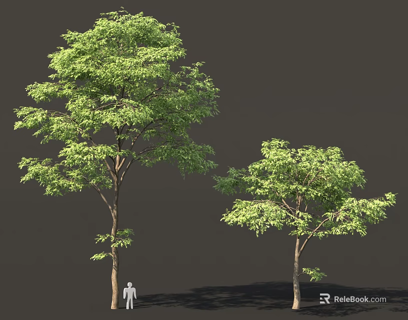Tall and Short Trees With Green Foliage And Human Figure Model 3d model 