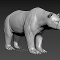 polar bear 3d model