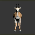 3D Light Brown Antelope Featuring Dark Back Stripe Curved Horns And Reflection On Dark Background