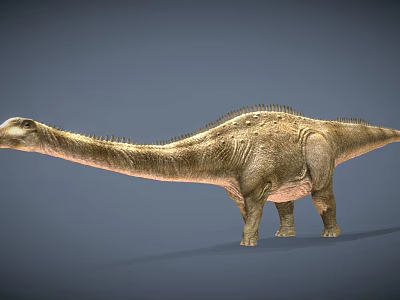 Game Movie Character Sauropod Dinosaur With Long Neck And Realistic Skin Texture 3d model