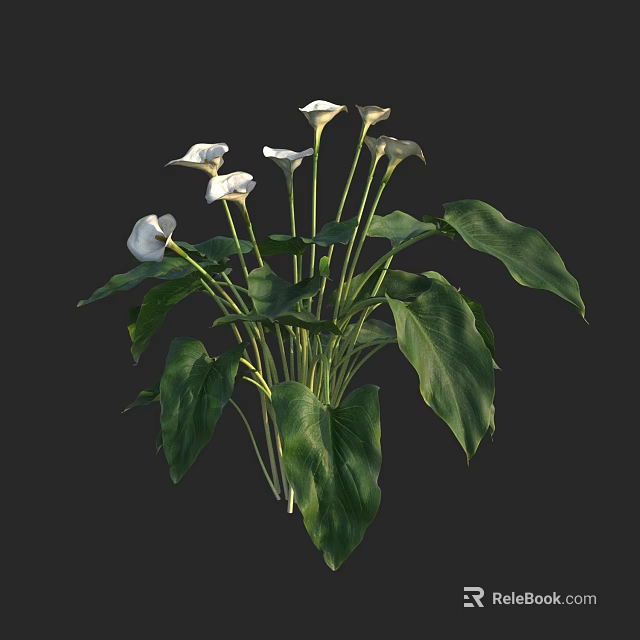 Aquatic Plants With White Flowers And Lush Green Leaves For Natural Decoration 3d model 