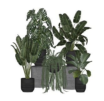 Modern potted plant green plant ornaments potted plant combination 3d model