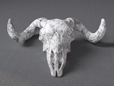 Vintage White Textured Cow Skull Decorative Ornament For Home Decor Accent 3d model